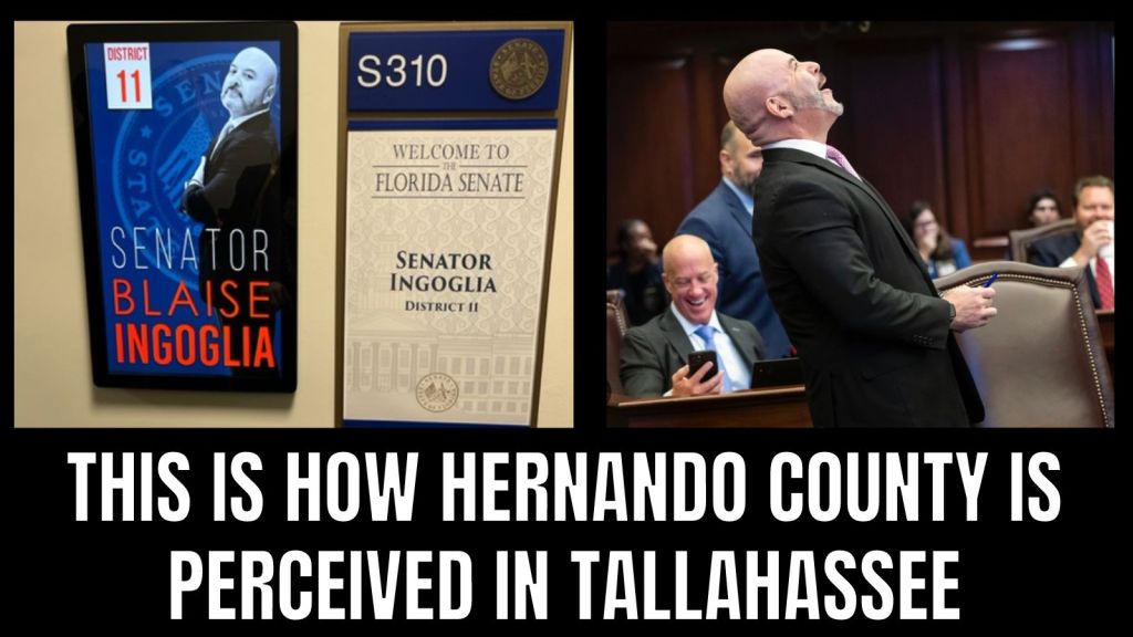 AI Meets Hernando&nbsp;REC