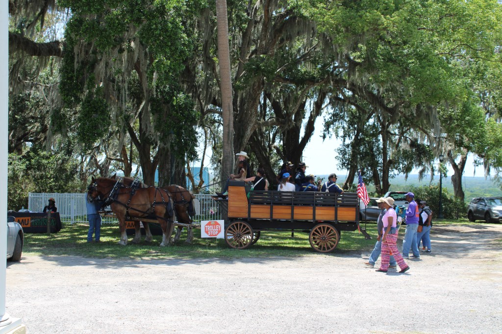 Chinsegut Hill Sanctuary: We Have&nbsp;Options