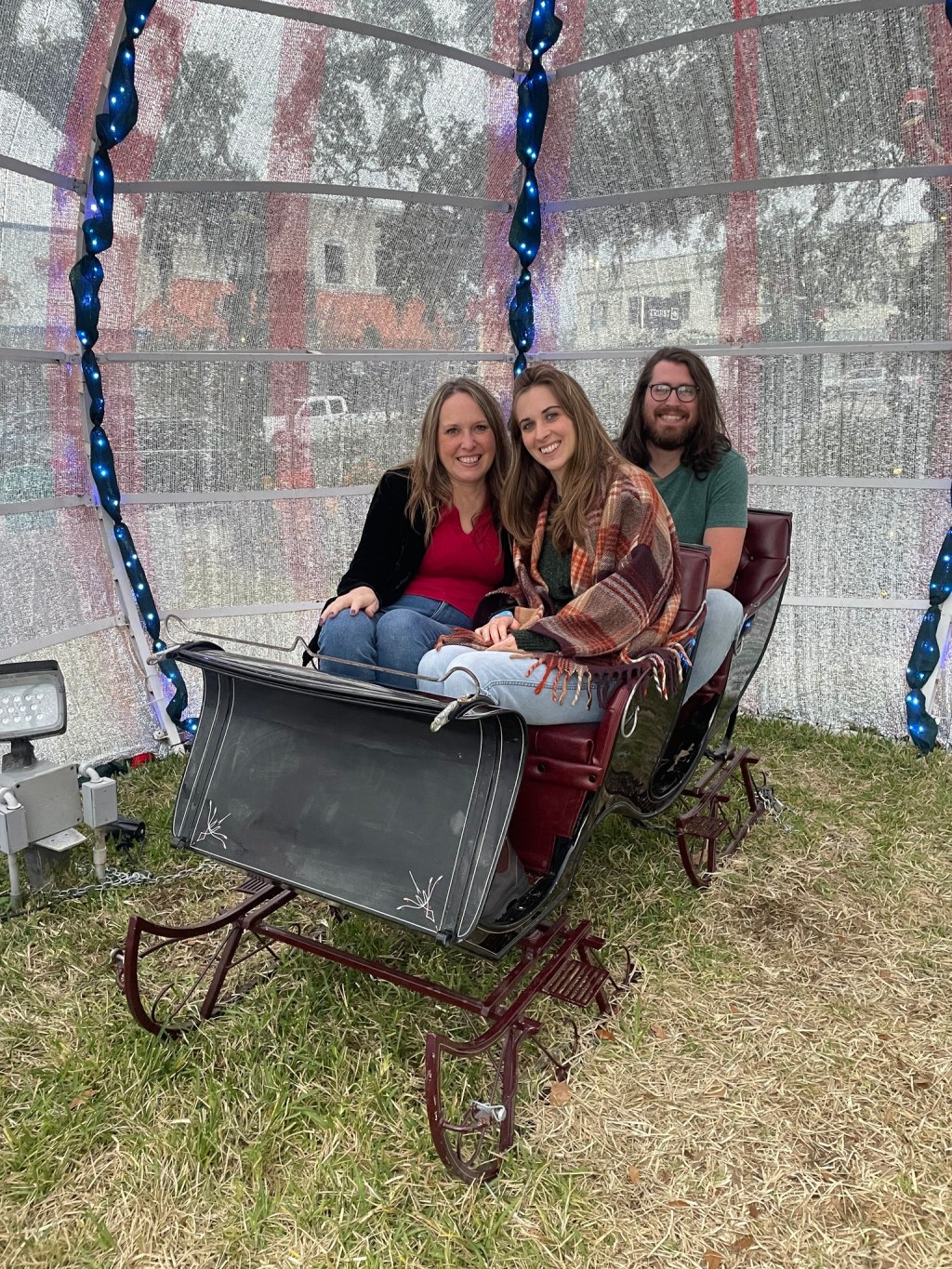 We Got Our Sleigh Back! (and other reasons to Cheer your elected&nbsp;officials)